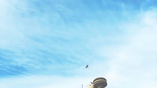 Paul's Daughter fast food chain