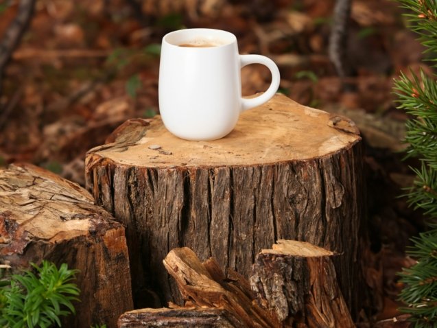 a cup of coffee sitting on top of a tree stump