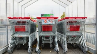 gray and red shopping carts