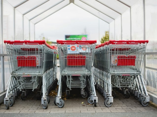 gray and red shopping carts